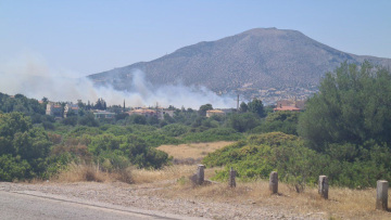 Εκκενώνονται Ανάβυσσος και Παλαιά Φώκαια - Φωτιά τώρα κοντά σε σπίτια, δείτε φωτογραφίες