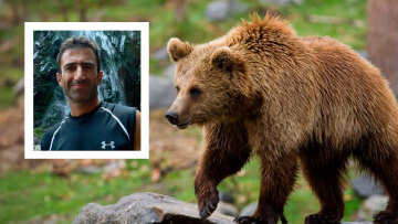 Γιατί η αρκούδα επιτέθηκε στον ορειβάτη στη Δράμα - «Ο σκύλος και το σπρέι πιπεριού την αναστάτωσαν»