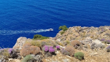 Κρήτη: Στην 65χρονη Ισραηλινή που αγνοούνταν ανήκει η σορός που βρέθηκε στην θάλασσα στο Λασίθι