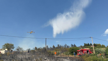 Σε ύφεση η φωτιά στην Ευκαρπία Θεσσαλονίκης - Δείτε βίντεο και φωτογραφίες