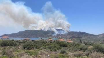 Μονεμβασιά: Καλύτερη είναι σήμερα η εικόνα της φωτιάς στο Καραβοστάσι, λέει ο αντιπεριφερειάρχης Λακωνίας