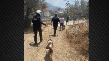 Βίντεο: Επιχειρήσεις της ΕΛΑΣ για τον απεγκλωβισμό κατοίκων και ζώων στην Παλαιά Φώκαια