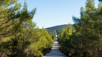 Παρατείνεται έως τον Δεκαπενταύγουστο η απαγόρευση κυκλοφορίας σε περιοχές της Χαλκιδικής λόγω κινδύνου πυρκαγιάς
