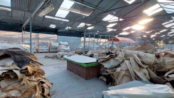 Εντοπίστηκε σπίτι-εργοστάσιο ναρκωτικών στο Πικέρμι - Στοίβες από εμποτισμένα δέρματα με κοκαΐνη, δείτε φωτογραφίες