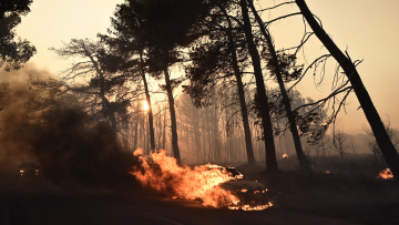Έως και 10°C αυξήθηκε η θερμοκρασία στην περιοχή του Βαρνάβα και της Πεντέλης μετά την περυσινή πυρκαγιά