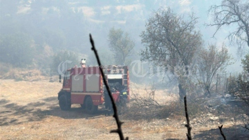 Μεγάλη φωτιά στην Κύπρο - Εκκενώνουν τα σπίτια τους οι κάτοικοι της Βάσας, δείτε βίντεο 