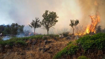 Εύβοια: Ξεκίνησαν ρίψεις νερού από εναέρια μέσα 