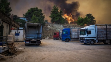 Φωτιά στην Εύβοια: Τραγικός απολογισμός με χιλιάδες νεκρά ζώα στη σκιά των αναζωπυρώσεων