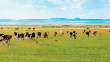 Πάρτι με τα βιολογικά να δείτε! Με εντολή Τσιάρα άρχισαν έλεγχοι για πιστοποιήσεις «μαϊμού» σε βιοκαλλιεργητές
