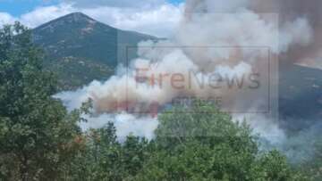 Διάσπαρτες εστίες στη φωτιά στη Δεσκάτη Γρεβενών - Εκκενώθηκε κατασκήνωση με 55 παιδιά