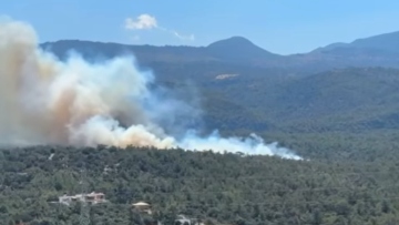 Κρήτη: Υπό έλεγχο η φωτιά σε δασική έκταση στον Άγιο Νικόλαο