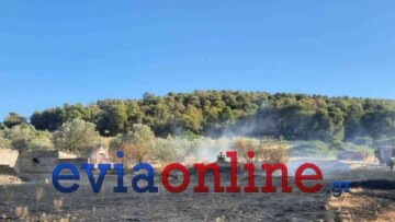 Φωτιά μικρής έκτασης στον δήμο Διρφύων στην Εύβοια – Τραυματίστηκε πυροσβέστης