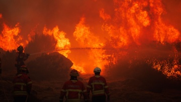 Πυρκαγιά στην Ισπανία: Εσπευσμένες απομακρύνσεις σε ξενοδοχεία και κατασκηνώσεις - Δείτε βίντεο
