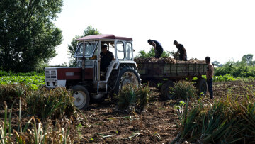 ΟΠΕΚΕΠΕ: Αγρότης με crypto και υβριδικό Mercedes στην «τσιμπίδα» της Αρχής για το Ξέπλυμα Μαύρου Χρήματος
