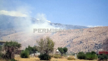 Χωρίς ενεργό μέτωπο η φωτιά στον Πρόδρομο Βοιωτίας - Διάσπαρτες εστίες στην περιοχή