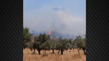 Χωρίς ενεργό μέτωπο η φωτιά στο Κουμιντρί Μεγάρων - Δείτε βίντεο