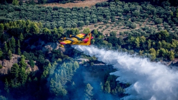 Περιορίστηκε η μεγάλη αναζωπύρωση της φωτιάς στο Χελιδόνι Αρχαίας Ολυμπίας