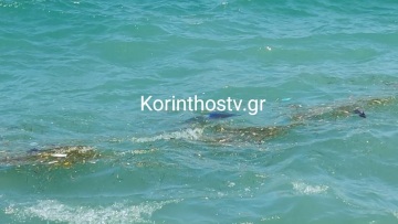 Κόρινθος: Αυτοκίνητο έπεσε στη θάλασσα, ανασύρθηκε χωρίς τις αισθήσεις του ο οδηγός