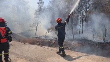 Καιρός: Επιστρέφουν τα 40άρια, επιμένουν τα μελτέμια - Ακραίος κίνδυνος πυρκαγιάς σήμερα σε Αττική, Βοιωτία, Εύβοια