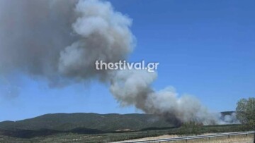 Καλύτερη η εικόνα της φωτιάς στη Μεγάλη Βόλβη Θεσσαλονίκης - Επιχειρούν 2 αεροσκάφη και 1 ελικόπτερο