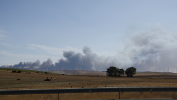 Δασικές πυρκαγιές στη νότια Ισπανία – Χιλιάδες άνθρωποι χρειάστηκε να απομακρυνθούν σε ασφαλή σημεία
