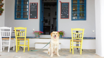 Οι ρομαντικοί «Αθηναίοι» πίσω από το Τριανταράκι της Τήνου
