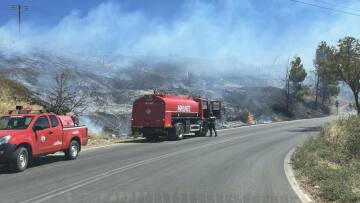 Οριοθετήθηκε η φωτιά στο Πευκόφυτο του Άγιου Στέφανου - Δείτε βίντεο
