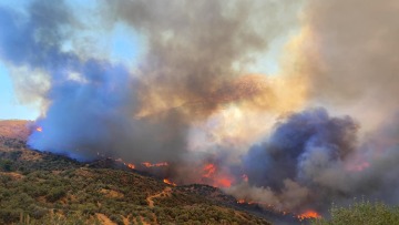 Φωτιά στη Χίο: Μάχη με 3 μέτωπα, εκκενώνεται το χωριό Παρπαριά,  - Δείτε βίντεο