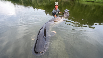 Ψαράς στην Τσεχία έβγαλε γατόψαρο μήκους 2,68 μέτρων μετά από μάχη 50 λεπτών - Δείτε φωτογραφίες