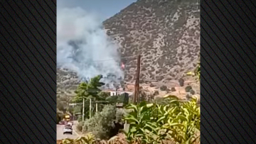 Χωρίς ενεργό μέτωπο η φωτιά στην Ερμιόνη Αργολίδας - Δείτε βίντεο
