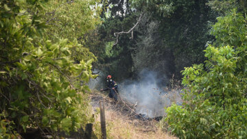 Διάσπαρτες εστίες σε Πάτρα και Χίο - Σε ύφεση τα πύρινα μέτωπα Ζάκυνθο και Πρέβεζα