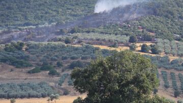 Καλύτερη η εικόνα της φωτιάς σε δάσος στην Πελεή Αργολίδας - Σηκώθηκαν 7 εναέρια, δείτε βίντεο