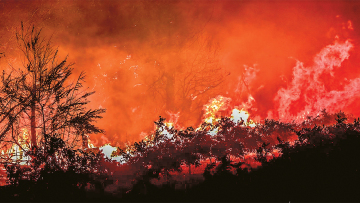 Ποιοι βάζουν τις φωτιές και γιατί σβήνουν δύσκολα - Εμπρηστές με σχέδιο, megafires και επικίνδυνη αμφισβήτηση του 112