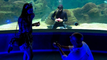 Κρήτη: Ιδιαίτερη πρόταση γάμου στο Ενυδρείο Ηρακλείου με φόντο τον βυθό - Δείτε βίντεο