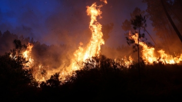 Πορτογαλία: Τρίτος νεκρός από τις πυρκαγιές