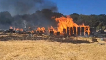 Θεσσαλονίκη: Από μελίσσια ξεκίνησε η φωτιά στον Χορτιάτη - Εξουδετερώθηκε χάρη στην έγκαιρη ενημέρωση από drone