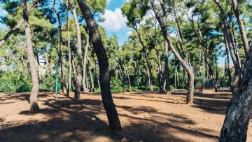 Άνοιξε και πάλι για το κοινό το Άλσος Χωροφυλακής
