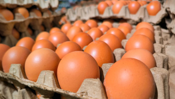 Πώς θα καταλάβετε εάν ένα αυγό είναι φρέσκο - Το απλό τεστ που αποκαλύπτει την αλήθεια