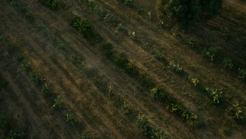 Στα μονοπάτια των φραγκόσυκων στην Κεφαλονιά