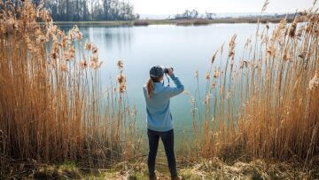 Slow Travel & Birdwatching: Η παρατήρηση πτηνών ως έκφραση του «αργού τουρισμού»