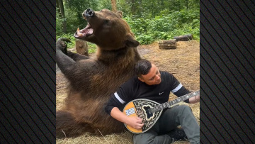 Απίστευτο βίντεο: Λαρισαίος παίζει μπουζούκι δίπλα σε... αρκούδα στη Ρωσία