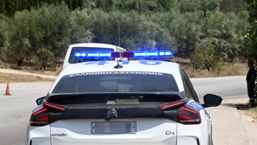 Πάτρα: 89χρονη σκότωσε κουτάβια και όταν ένας 25χρονος της πέταξε πέτρες εκείνη τον χτύπησε στο κεφάλι με μεταλλικό αντικείμενο