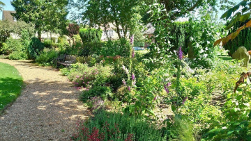 Τέλος στην κυριαρχία του γκαζόν: Ο απεριποίητος κήπος σωτήριος για τη βιοποικιλότητα
