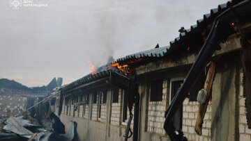 Πόλεμος στην Ουκρανία: Ρωσικό πλήγμα σε χοιροτροφείο του Χαρκόβου - Νεκρά 13.000 ζώα