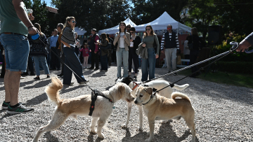 A Day with my Pet: Το petmou.gr σας περιμένει στην πλατεία Δαβάκη στην Καλλιθέα για μια ξεχωριστή μέρα με τα τετράποδα φιλαράκια σας