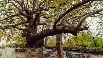 Κεντρικό Πήλιο: Χωριά που μαγεύουν τους επισκέπτες όλο τον χρόνο