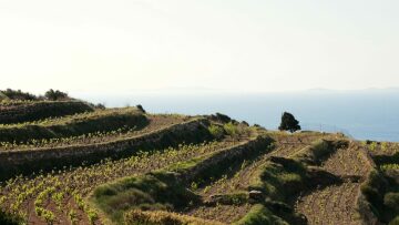 Νάξος: Ένα ταξίδι στις γεύσεις της Eύφορης Γης των Κυκλάδων