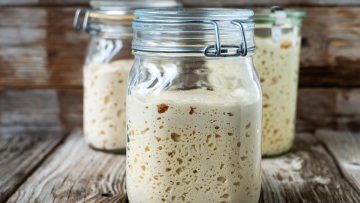 Lievito Madre - Ή αλλιώς «η μάνα των προζυμιών », η καρδιά της ιταλικής κουζίνας