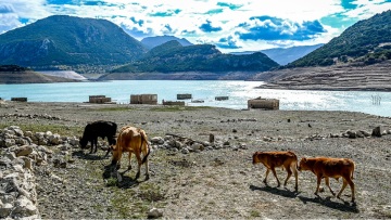 Νέα υποχώρηση στην επιφάνεια της λίμνης του Μόρνου - Στα χαμηλότερα επίπεδα της 10ετιας το συνολικό ετήσιο ύψος βροχής στην περιοχή