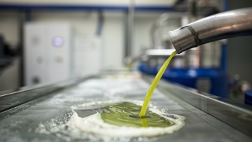 Από το λιοτρίβι στο σπίτι: Πώς φυλάμε το φρέσκο ελαιόλαδο για να μείνει αρωματικό και γευστικό όλο τον χρόνο